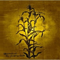 Wovenhand – The Laughing Stalk Wovenhand – The Laughing Stalk