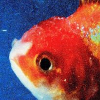 Vince Staples – Big Fish Theory Vince Staples – Big Fish Theory