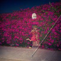 Feist – Pleasure Feist – Pleasure